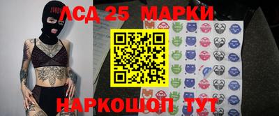 индика Ирбит