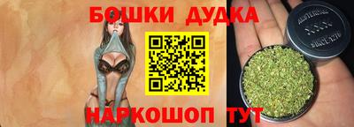 индика Ирбит