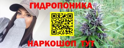 шишки Камышлов