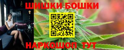 шишки Камышлов
