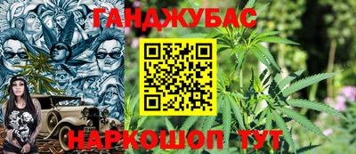 индика Ирбит