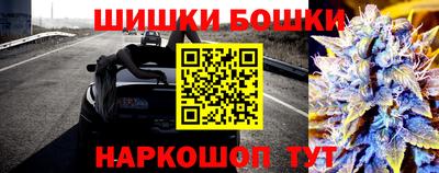 прущие грибы Изобильный