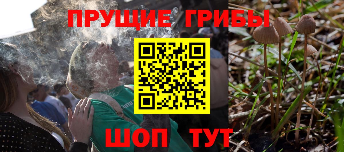 Галлюциногенные грибы Cubensis Южно-Сахалинск
